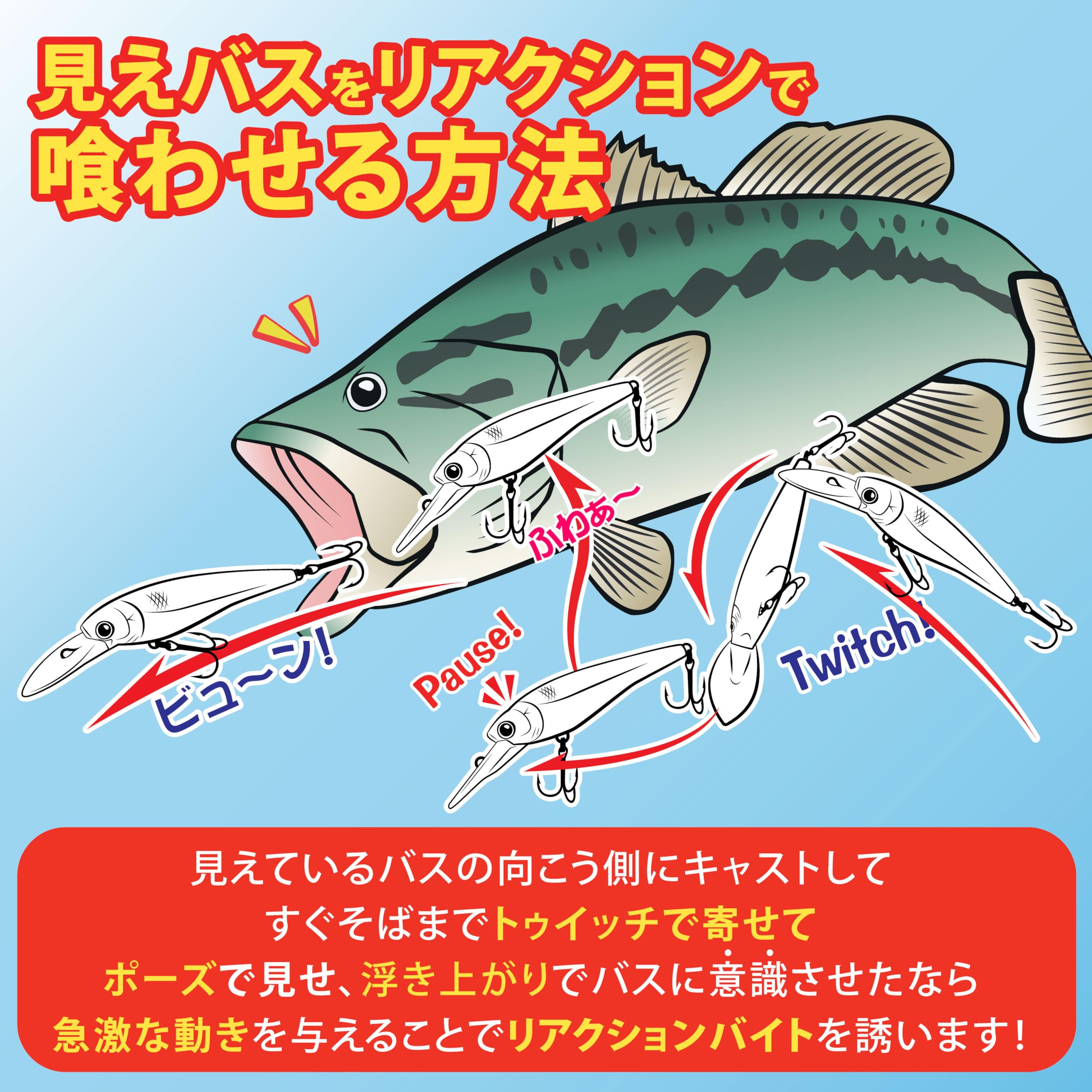 Amazon.co.jp: ラッキークラフト(LUCKY CRAFT)ベビーシャッド60F